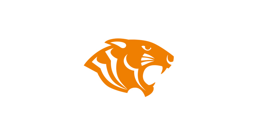 logo-tiger-group